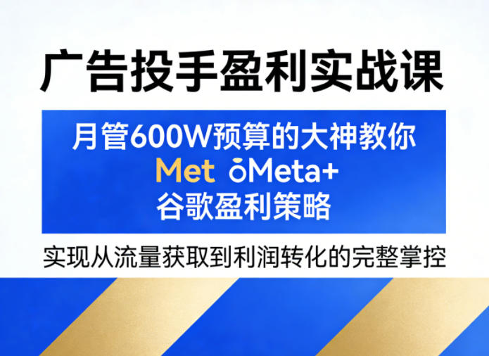 广告投手盈利实战课，月管600W预算的大神教你Meta+谷歌盈利策略，实现从流量获取到利润转化的完整掌控|网创挖金社