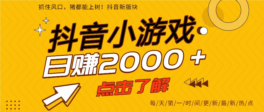 5年爆火的抖音小游戏项目，一部手机日入2000+|网创挖金社
