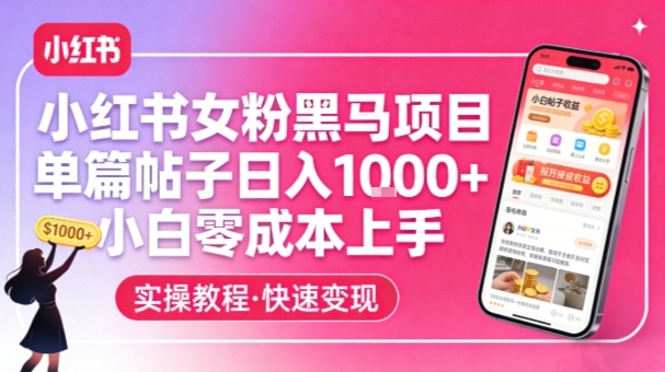 小红书女粉黑马项目，单篇帖子日入1k+，小白零成本上手|网创挖金社