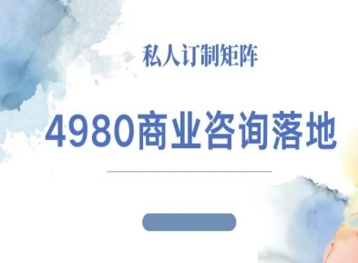 4980商业咨询师落地课程-ip运营高客单教程|网创挖金社