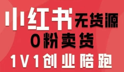 小红书无货源0粉电商课,开店准备、选品策略、笔记撰写、视频剪辑、数据分析、账号打造、资料文档(更新26年2月)|网创挖金社