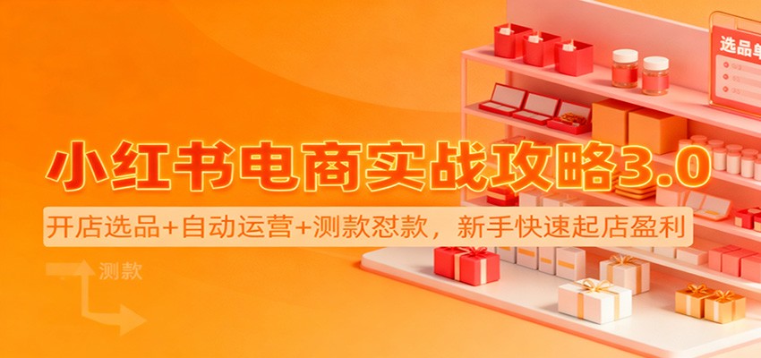 小红书电商实战攻略3.0：开店选品+自动运营+测款怼款，新手快速起店盈利|网创挖金社